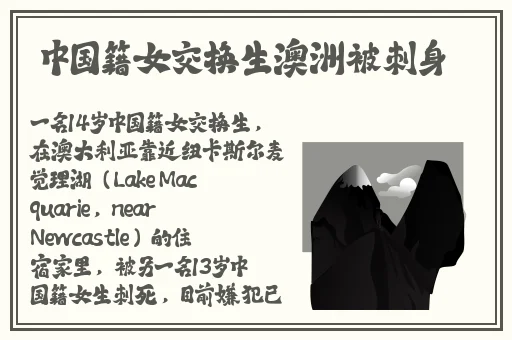 国产精品三级AV在线播放